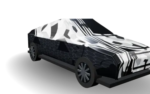 Camo Snow