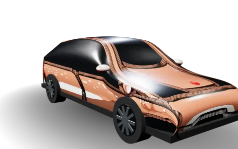 Reindeer
